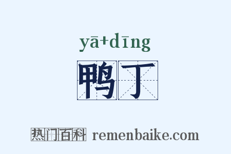 鸭丁是什么意思的图片